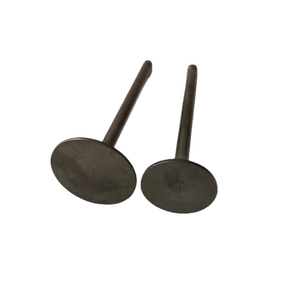 Intake valve Exhaust Valve fit Linhai 400 engine p