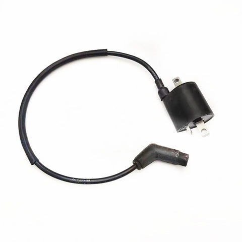 Ignition Coil and Wire fits Linhai 260 300 400 500