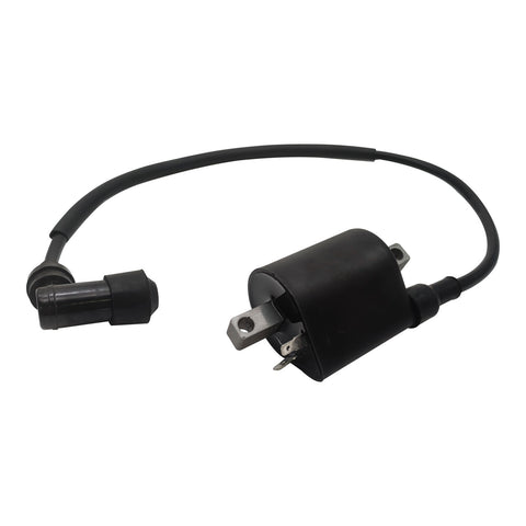 Ignition Coil and Wire for Linhai 260 300 400 500 