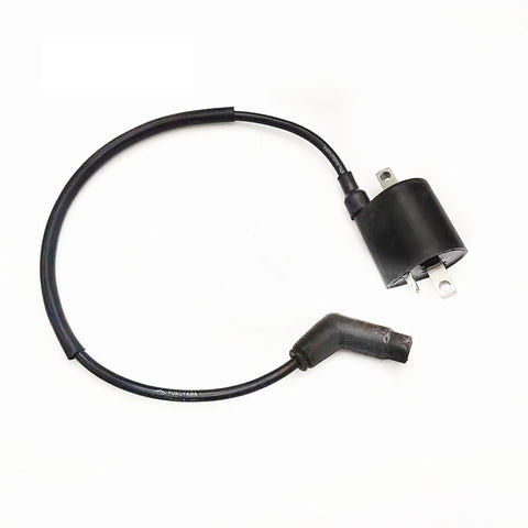 Ignition Coil and Wire fits for Linhai 260 300 400