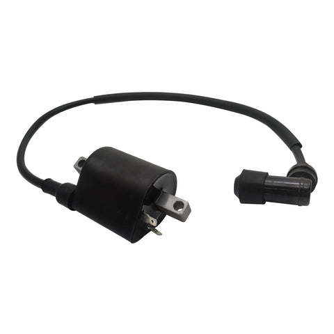 Ignition Coil and Wire fits Fit For Linhai 260 300